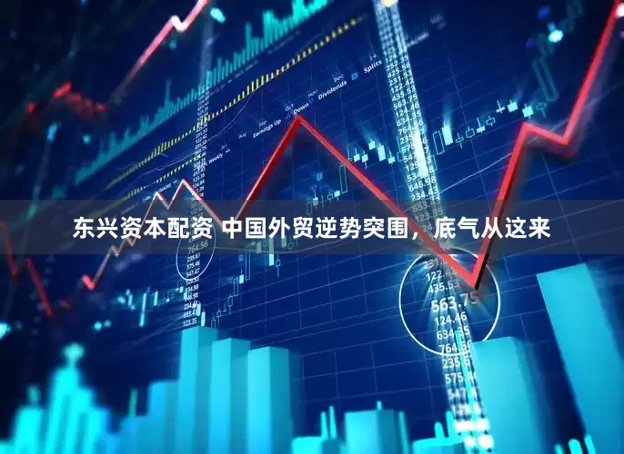 东兴资本配资 中国外贸逆势突围，底气从这来