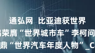 通弘网  比亚迪获世界大奖：海鸥荣膺“世界城市车”李柯问鼎“世界汽车年度人物”_Car_全球_中国