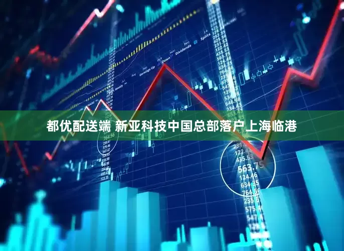 都优配送端 新亚科技中国总部落户上海临港