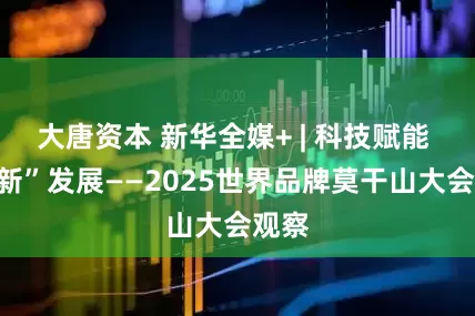 大唐资本 新华全媒+ | 科技赋能 向“新”发展——2025世界品牌莫干山大会观察
