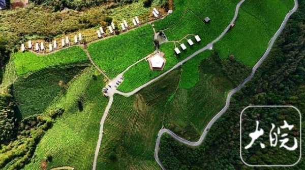 信捷策路 旌德：四好农村路助茶旅融合